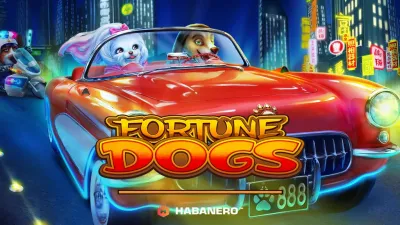 포춘독 (Fortune Dogs)