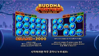 부다 포춘 (Buddha Fortune)