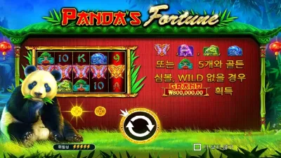 판다스 포춘 (Panda's Fortune)