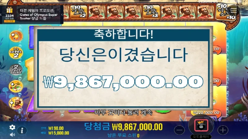 11.webp