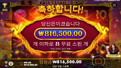 프라그마틱 불사조후기